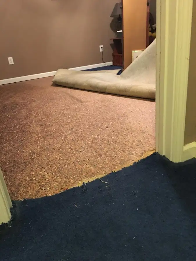 Carpet pad removal revealing water damage during Water Mitigation Services in Baldwinsville